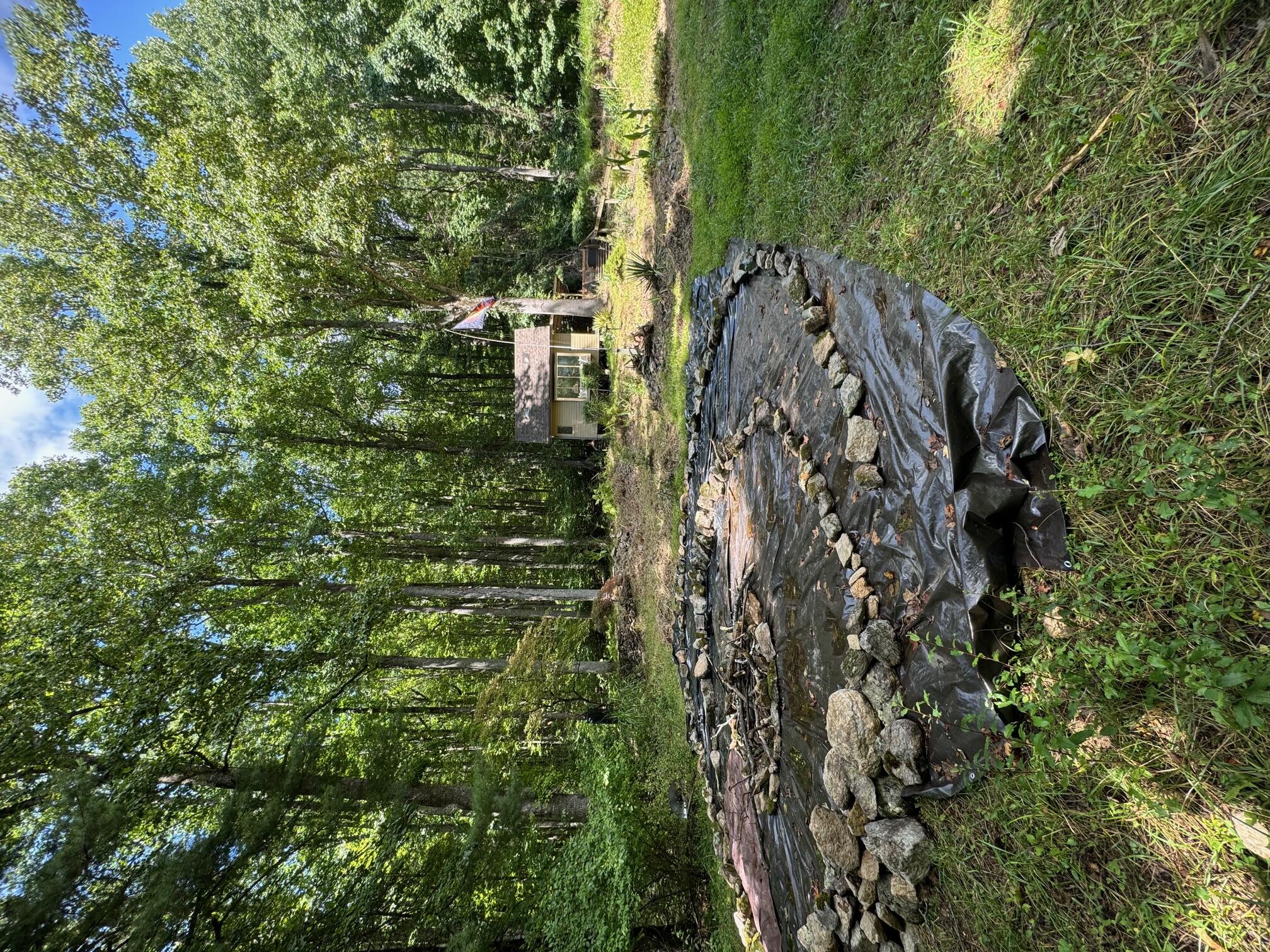 9737 Pine Forest Road Northeast Copper Hill, VA 24079 - Photo 2 of 41 a view of a backyard with trees