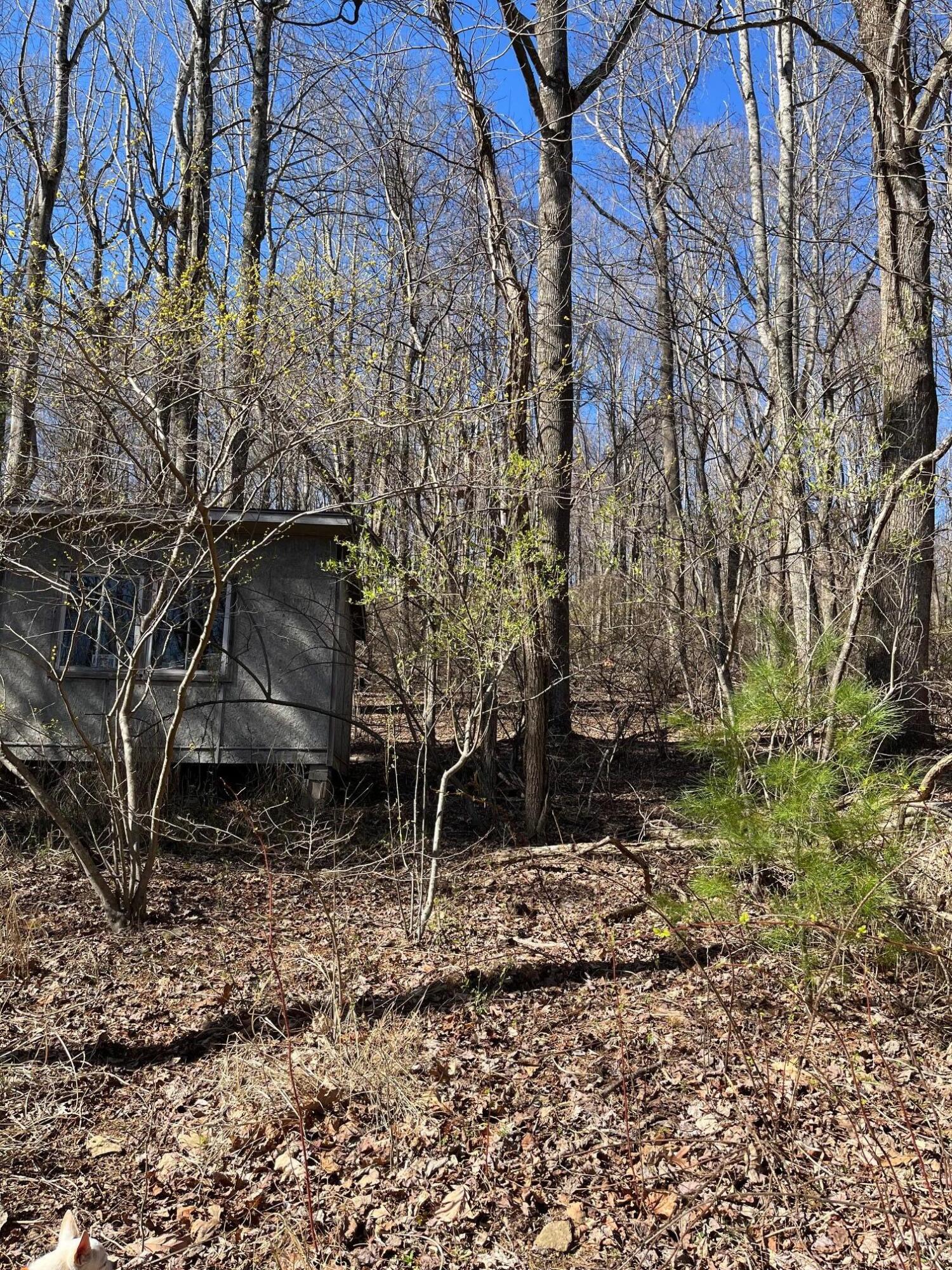 9737 Pine Forest Road Northeast Copper Hill, VA 24079 - Photo 25 of 41 a backyard of a house with lots of green space