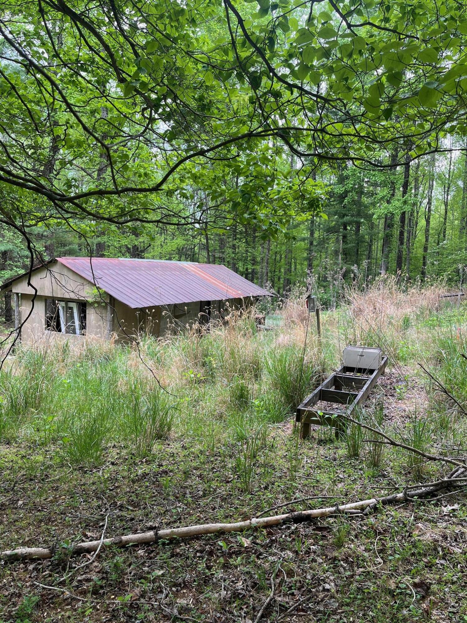 9737 Pine Forest Road Northeast Copper Hill, VA 24079 - Photo 29 of 41 a view of a house with a yard
