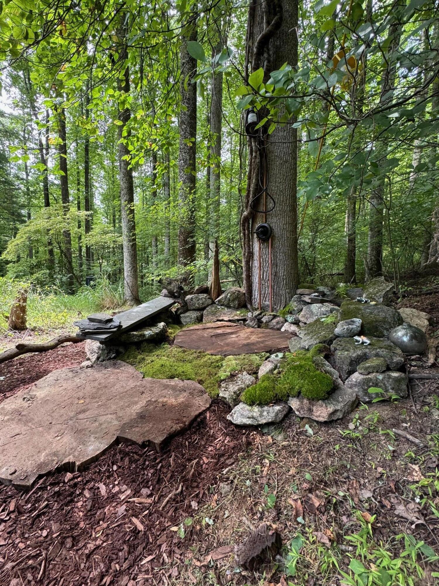 9737 Pine Forest Road Northeast Copper Hill, VA 24079 - Photo 31 of 41 a view of outdoor space and yard