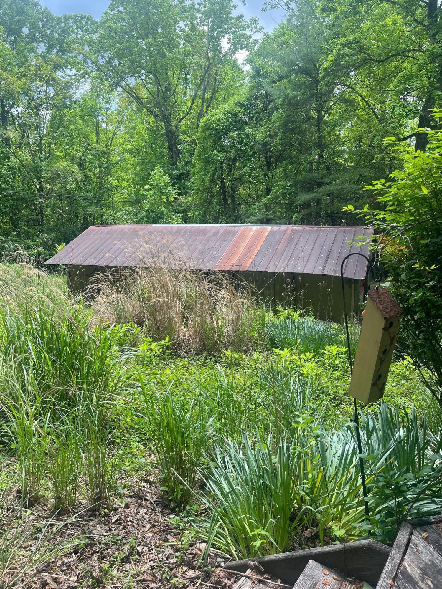9737 Pine Forest Road Northeast Copper Hill, VA 24079 - Photo 32 of 41 a view of yard