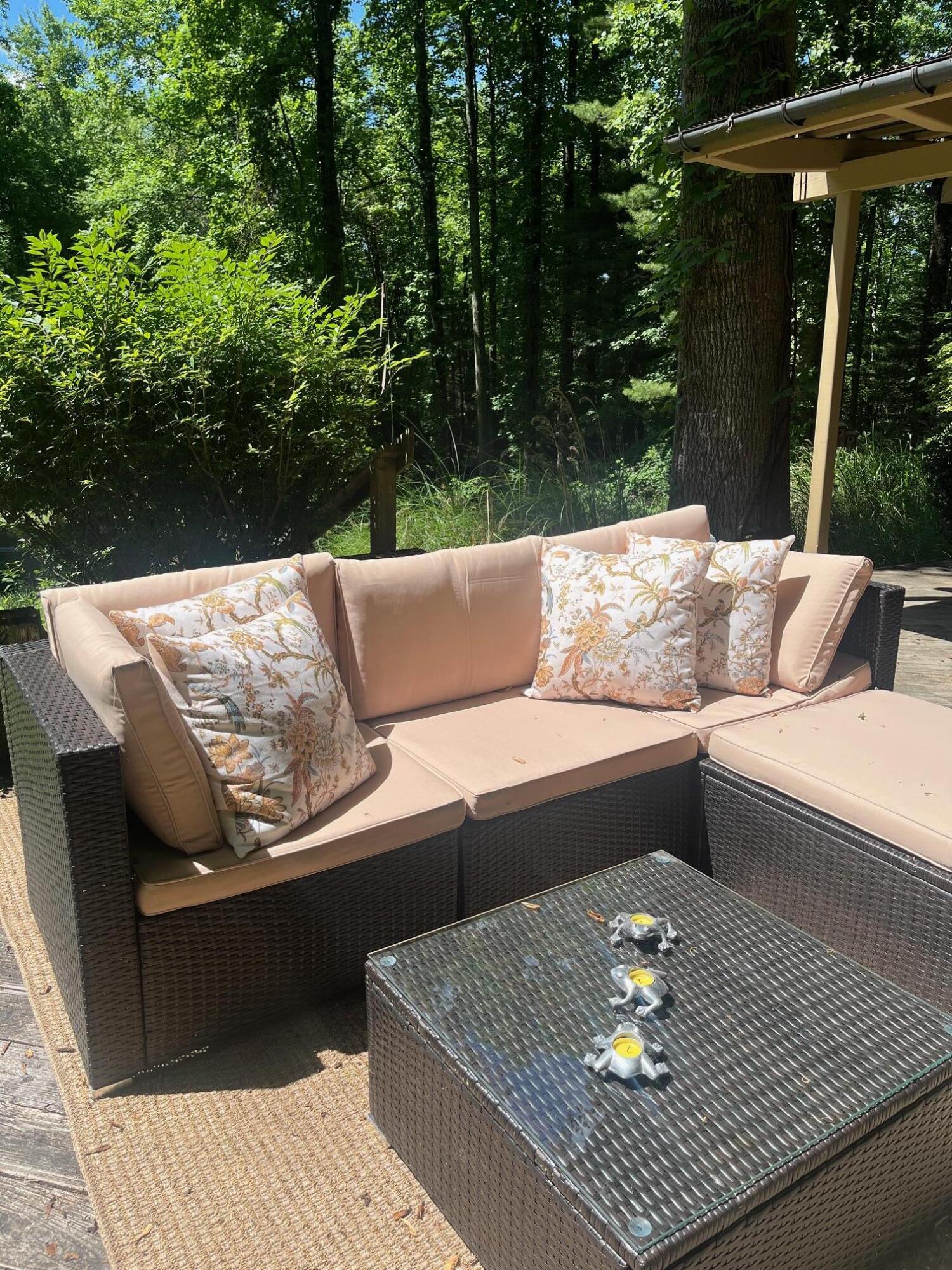 9737 Pine Forest Road Northeast Copper Hill, VA 24079 - Photo 40 of 41 a view of a couches in the patio