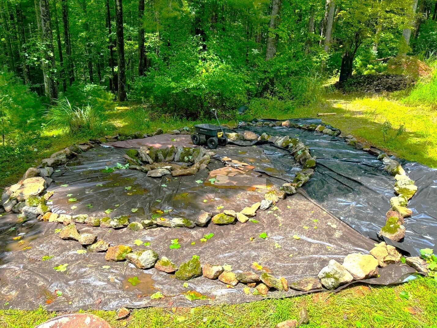 9737 Pine Forest Road Northeast Copper Hill, VA 24079 - Photo 5 of 41 a view of yard with green space