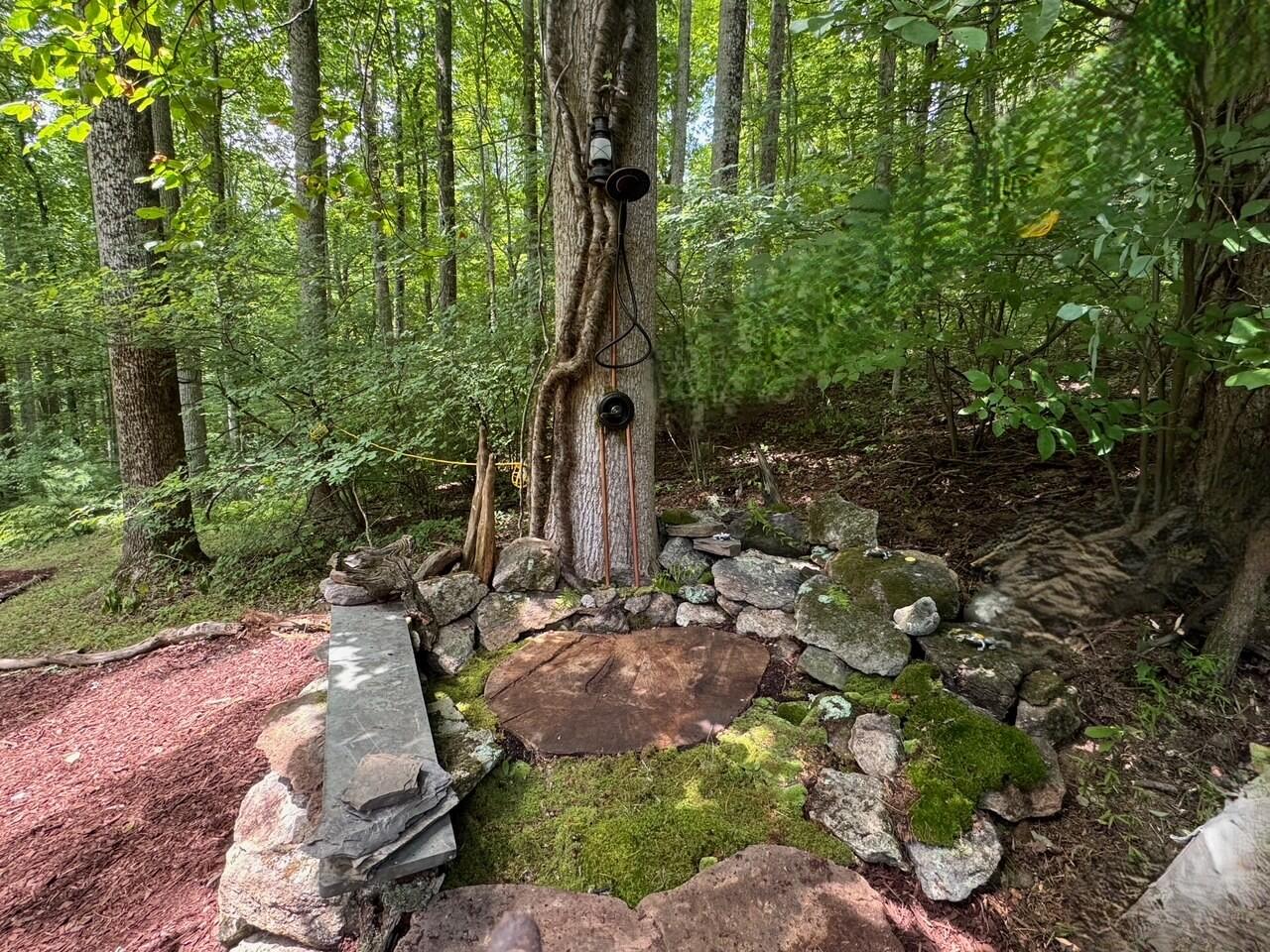 9737 Pine Forest Road Northeast Copper Hill, VA 24079 - Photo 9 of 41 a backyard of a house with lots of green space