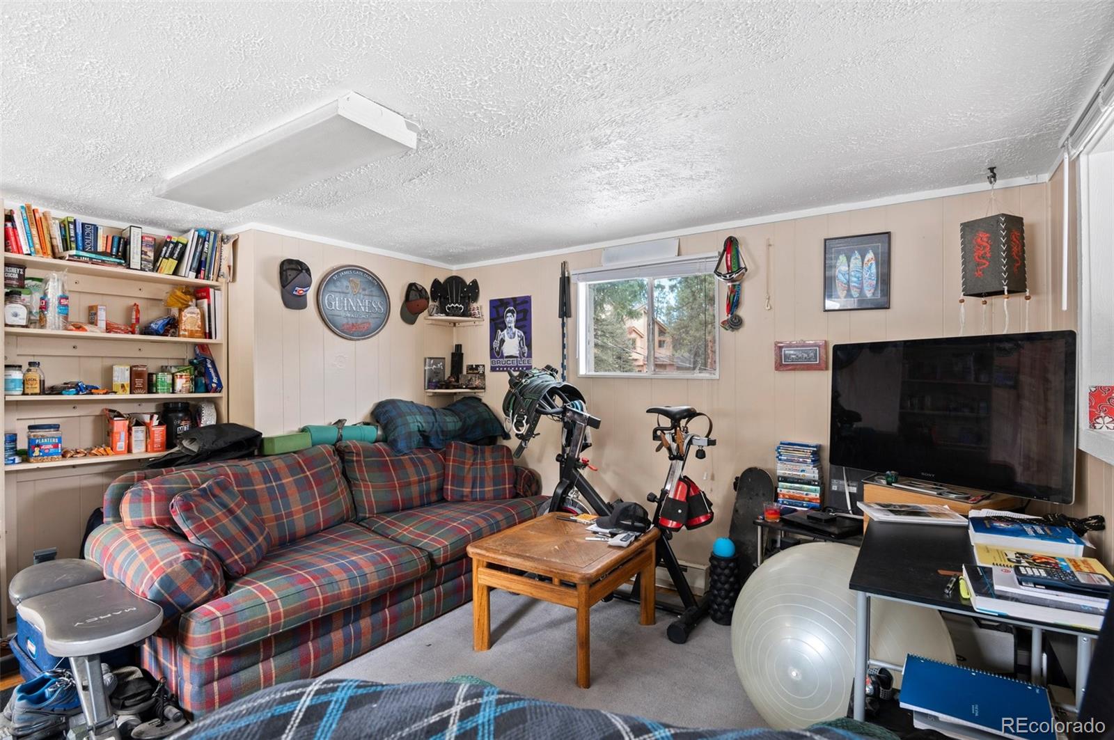 4997 Camel Heights Road Evergreen, CO 80439 - Photo 5 of 24 a living room with furniture and a flat screen tv