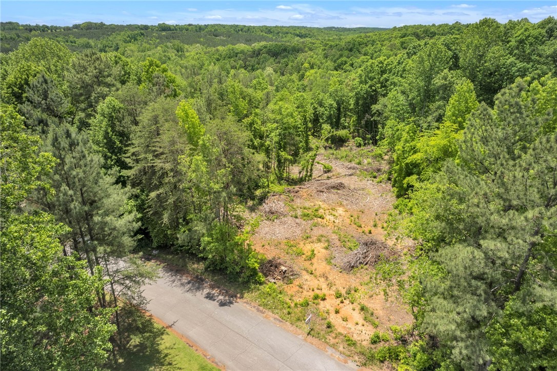 0 West Bagwell Road Liberty, SC 29657 - Photo 2 of 12