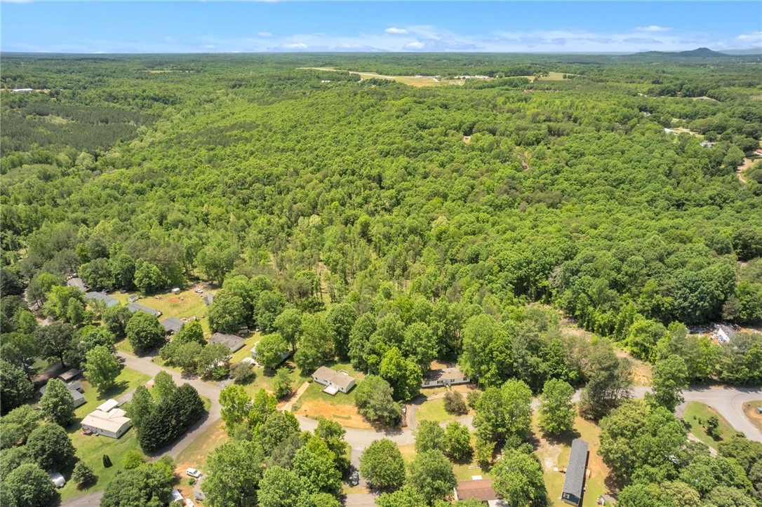 0 West Bagwell Road Liberty, SC 29657 - Photo 3 of 12