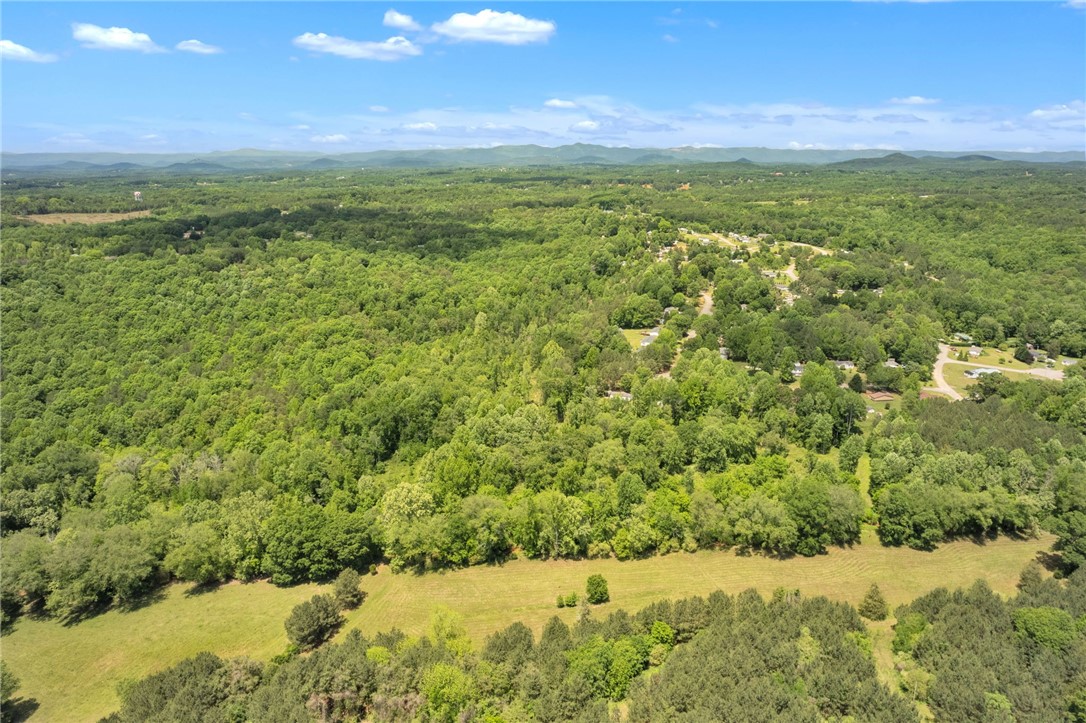 0 West Bagwell Road Liberty, SC 29657 - Photo 7 of 12