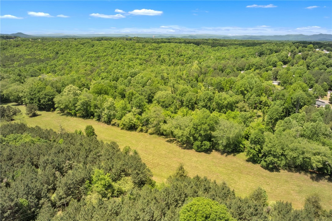 0 West Bagwell Road Liberty, SC 29657 - Photo 8 of 12