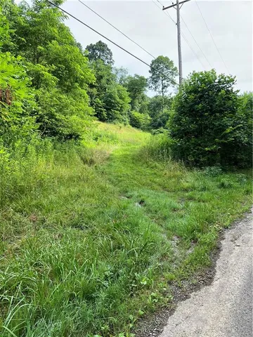 a view of a garden with plants