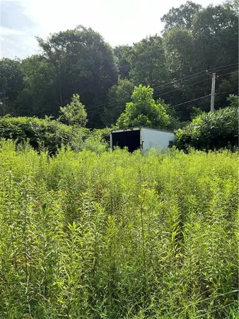 a view of a garden with plants