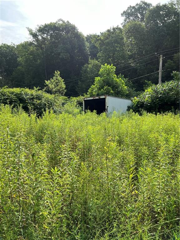 138 Friendship Road Beaver Falls, PA 15010 - Photo 6 of 15 a view of a garden with plants