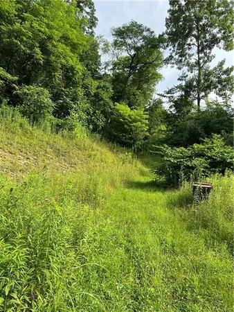 a view of a garden