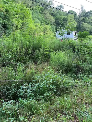 a view of a house with a tree