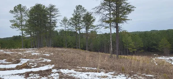 $120,000 | 13 Stirrup Lane, Jamestown, TN 38556