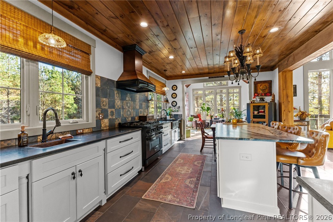 1008 Joe Collins Road Lillington, NC 27546 - Photo 19 of 50