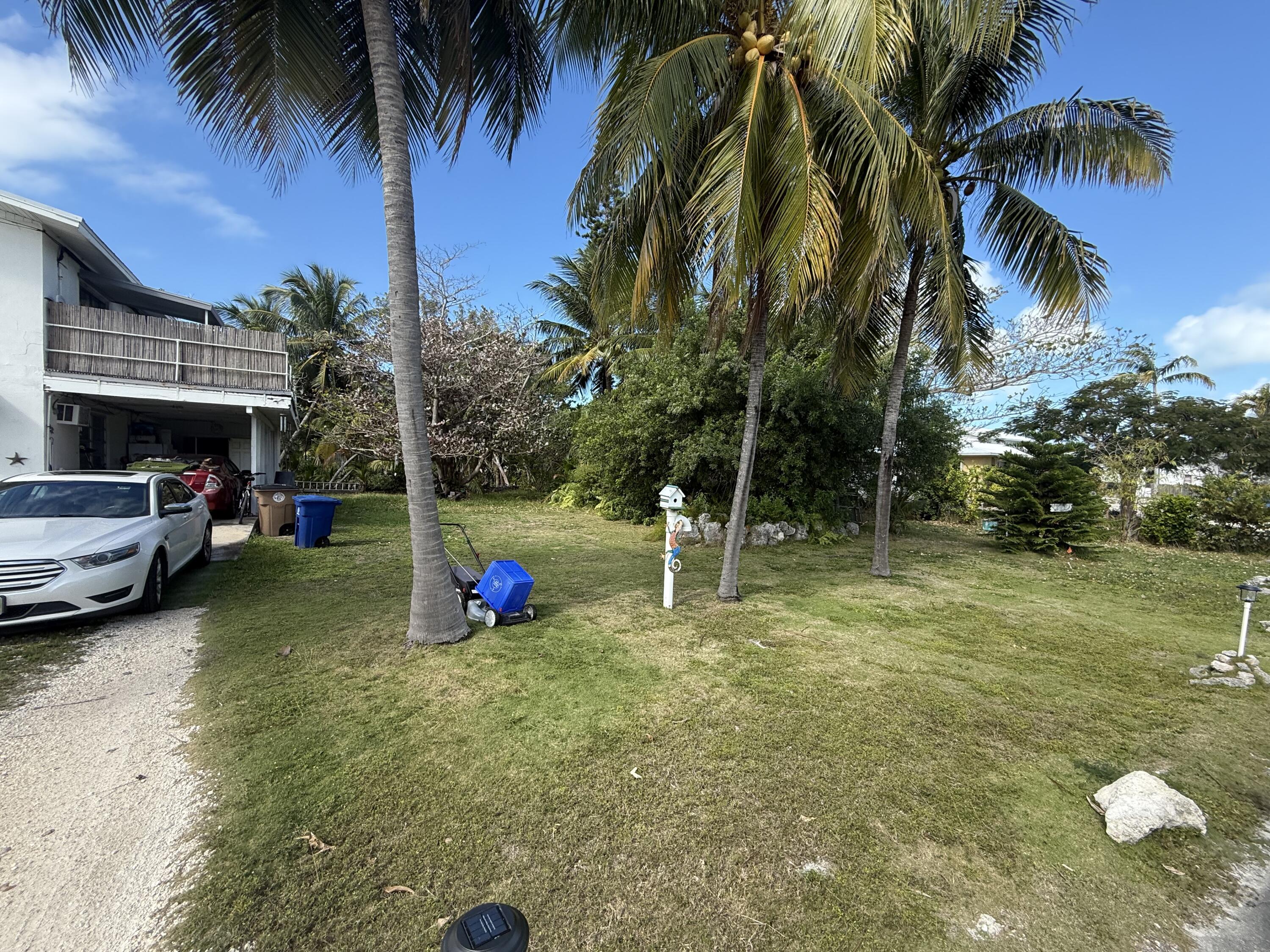 329-63 Court Gulf Court Marathon, FL 33050 - Photo 6 of 9 a view of a yard with palm tree