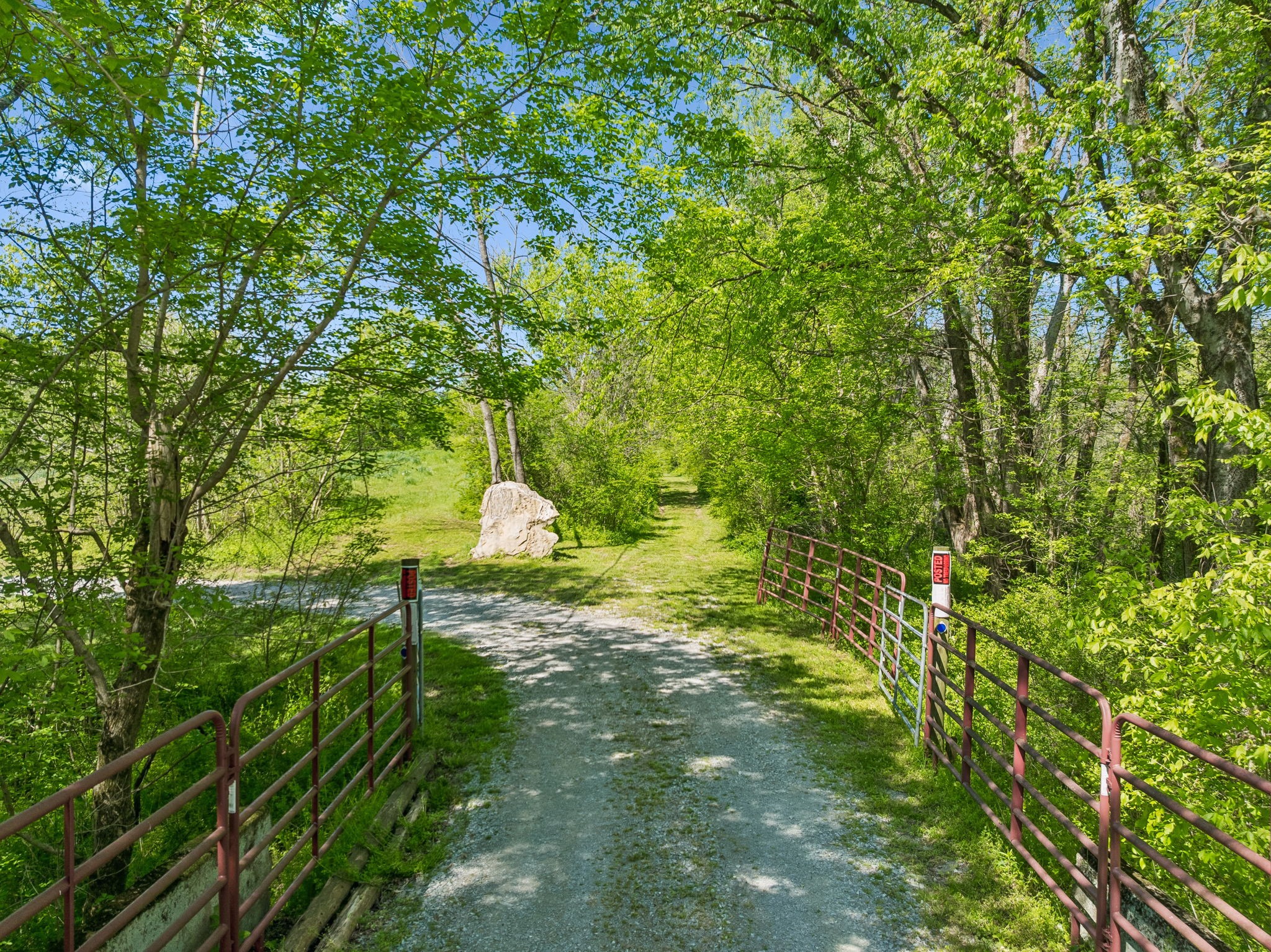 4341 Marlowe Road Williamsport, TN 38487 - Photo 4 of 78