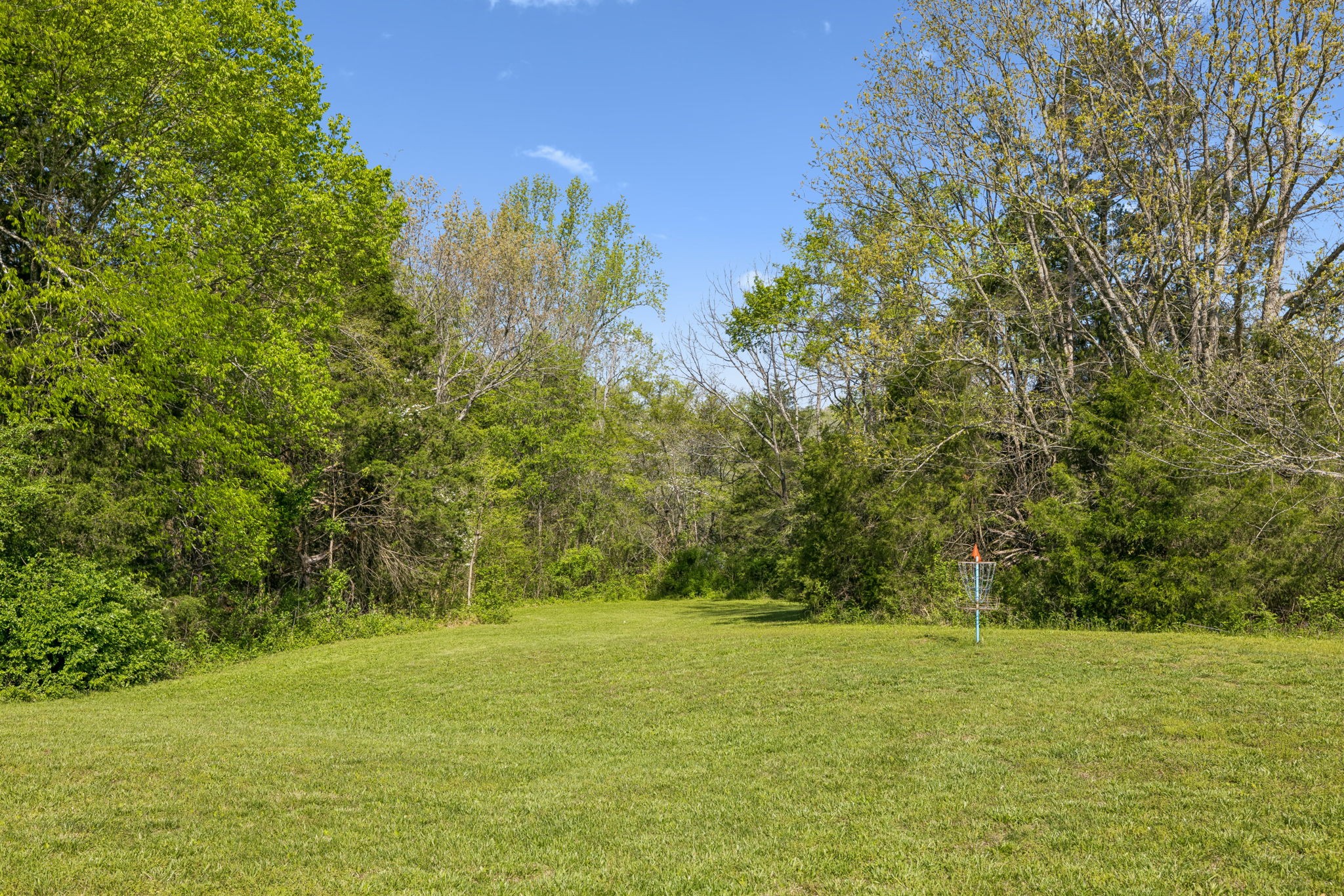 4341 Marlowe Road Williamsport, TN 38487 - Photo 50 of 78