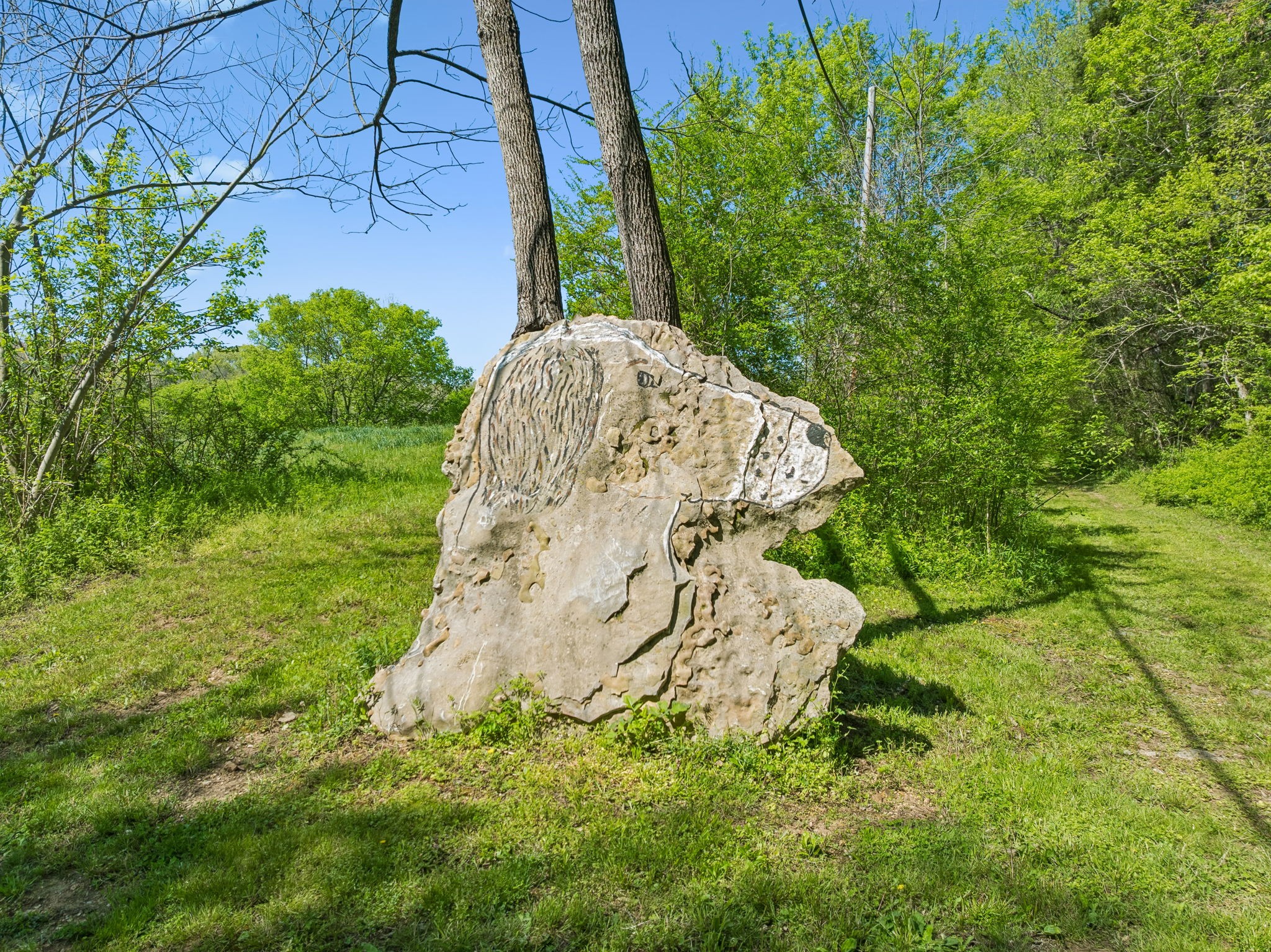 4341 Marlowe Road Williamsport, TN 38487 - Photo 5 of 78