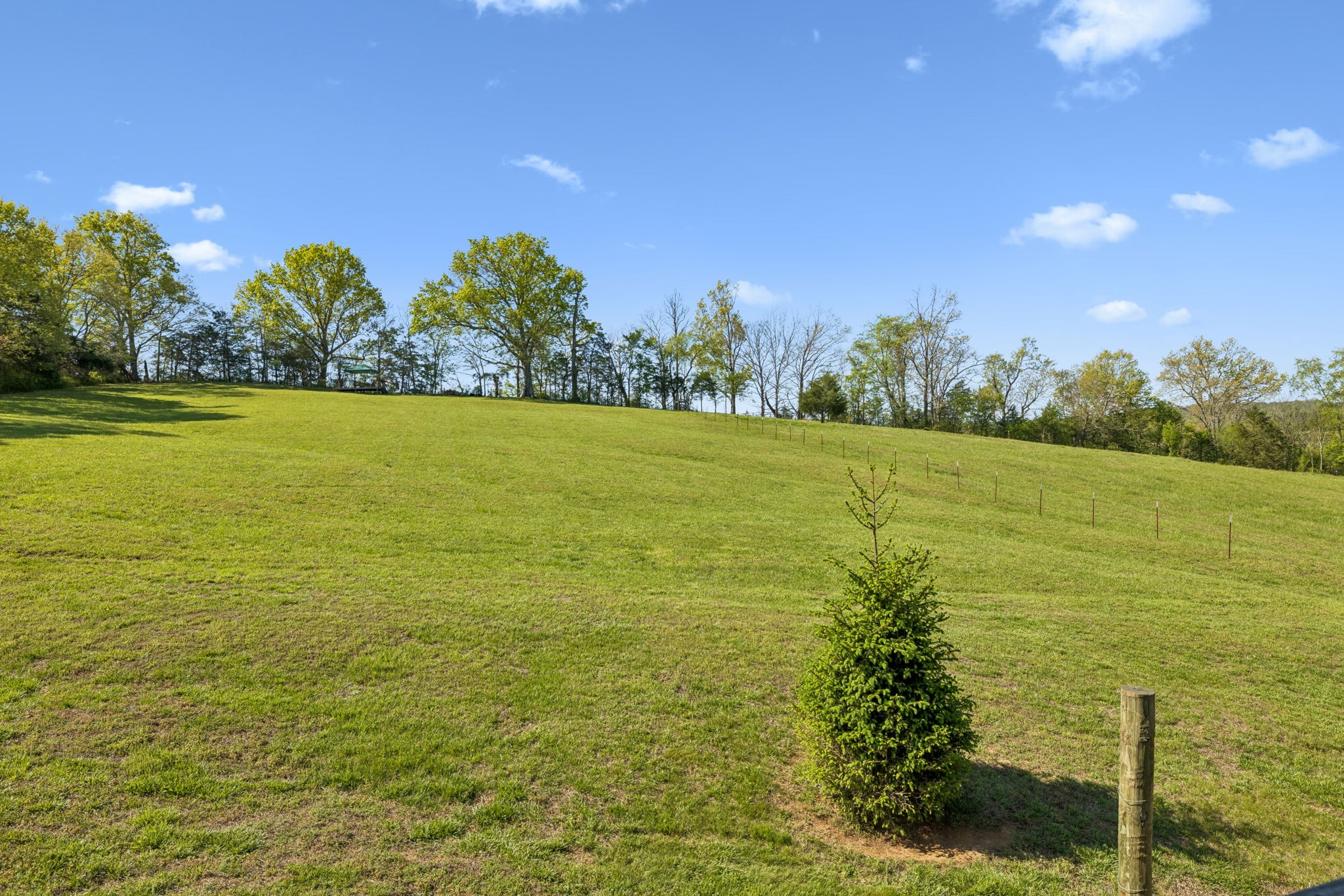 4341 Marlowe Road Williamsport, TN 38487 - Photo 52 of 78