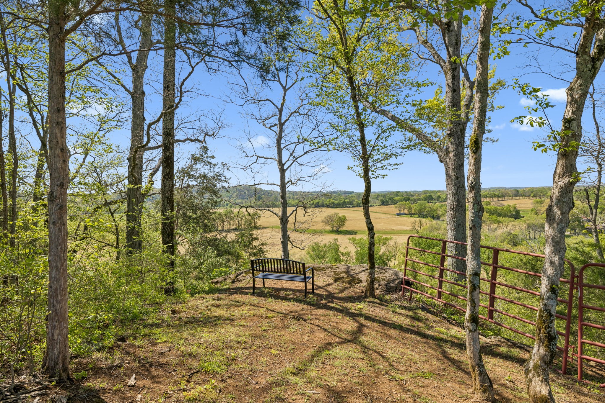 4341 Marlowe Road Williamsport, TN 38487 - Photo 55 of 78