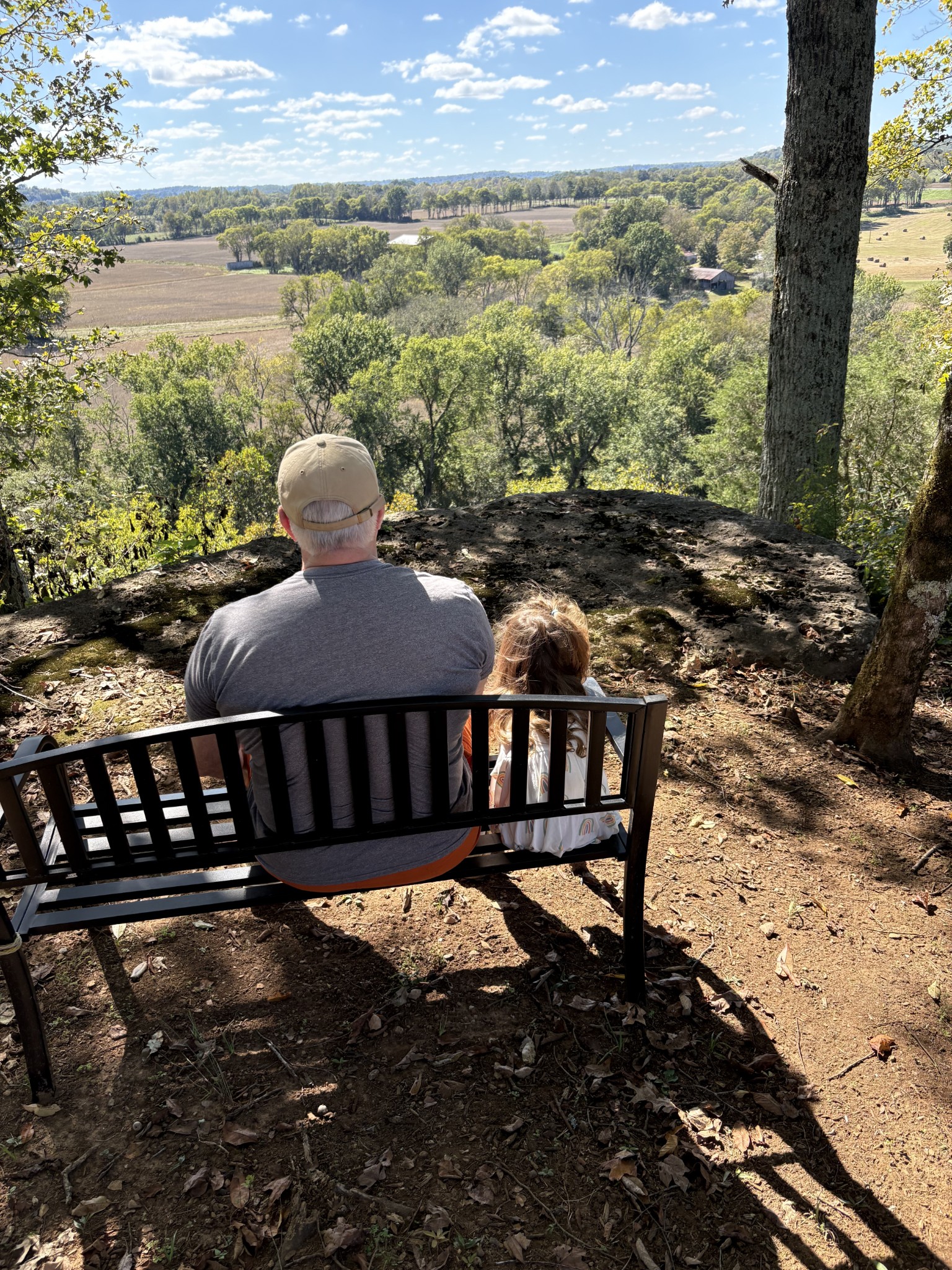 4341 Marlowe Road Williamsport, TN 38487 - Photo 57 of 78