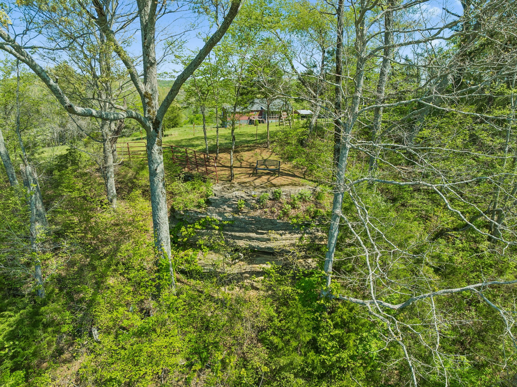 4341 Marlowe Road Williamsport, TN 38487 - Photo 60 of 78