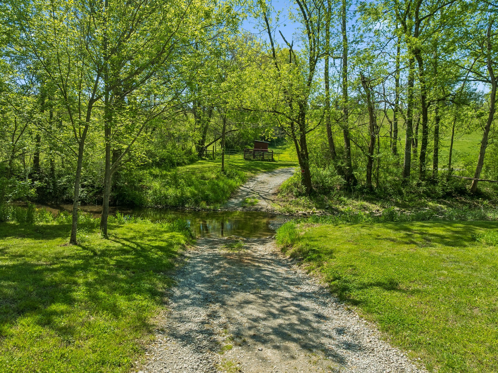 4341 Marlowe Road Williamsport, TN 38487 - Photo 6 of 78