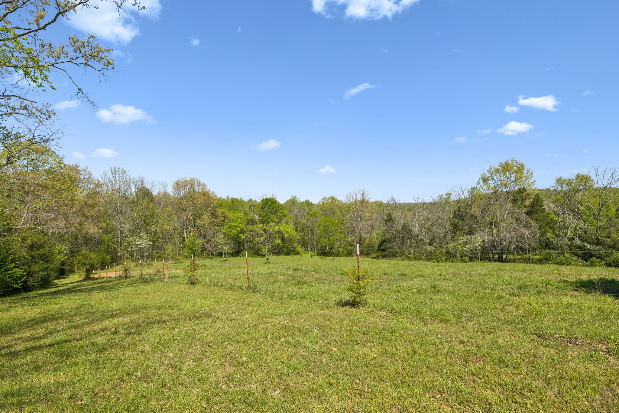 4341 Marlowe Road Williamsport, TN 38487 - Photo 61 of 78