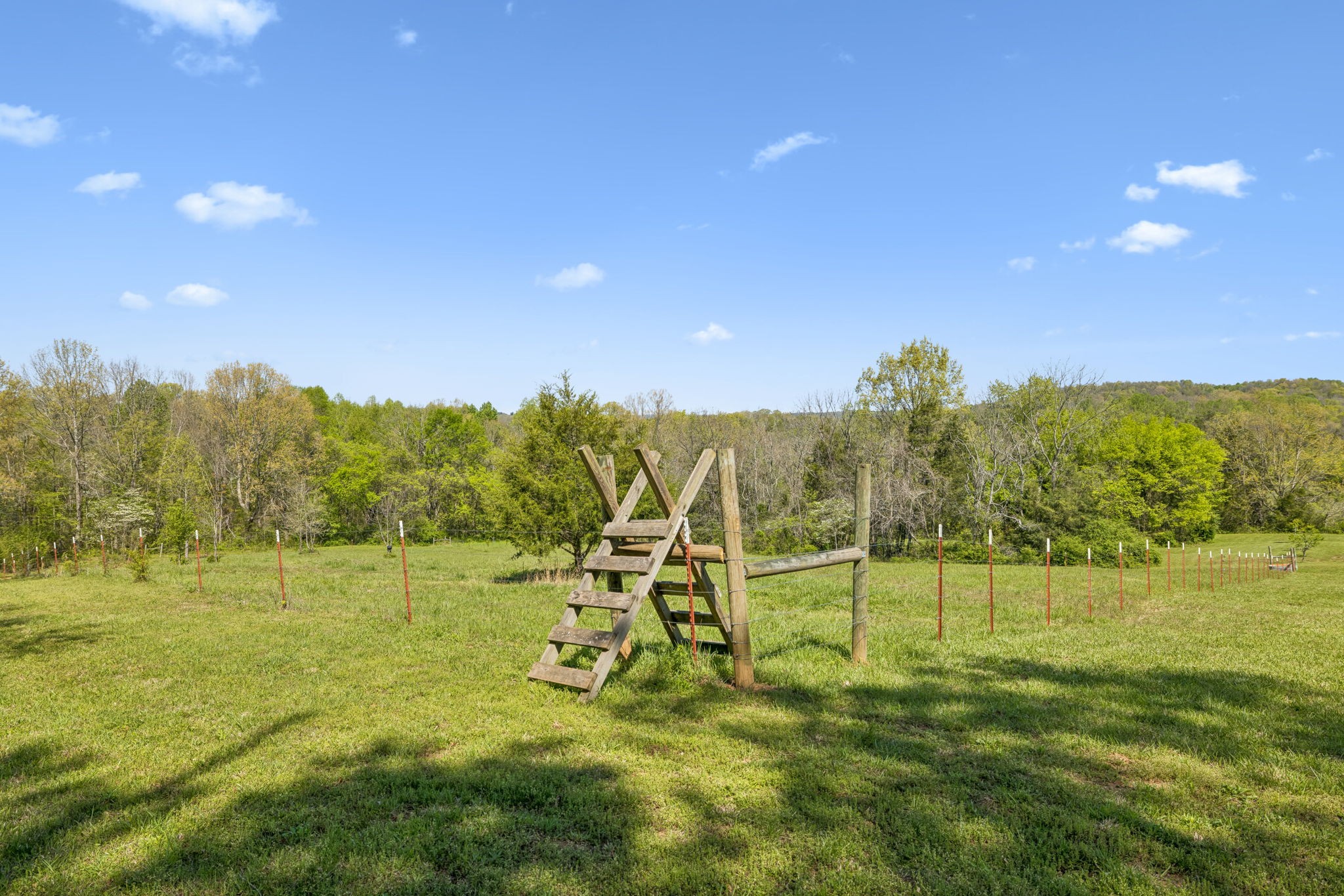 4341 Marlowe Road Williamsport, TN 38487 - Photo 62 of 78