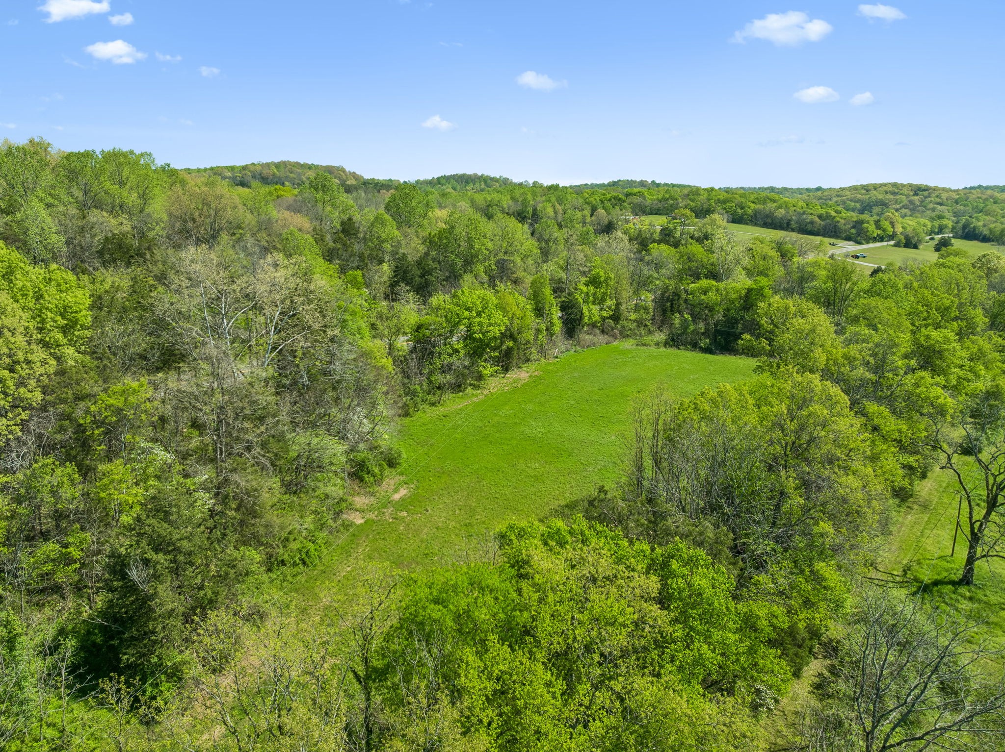 4341 Marlowe Road Williamsport, TN 38487 - Photo 66 of 78