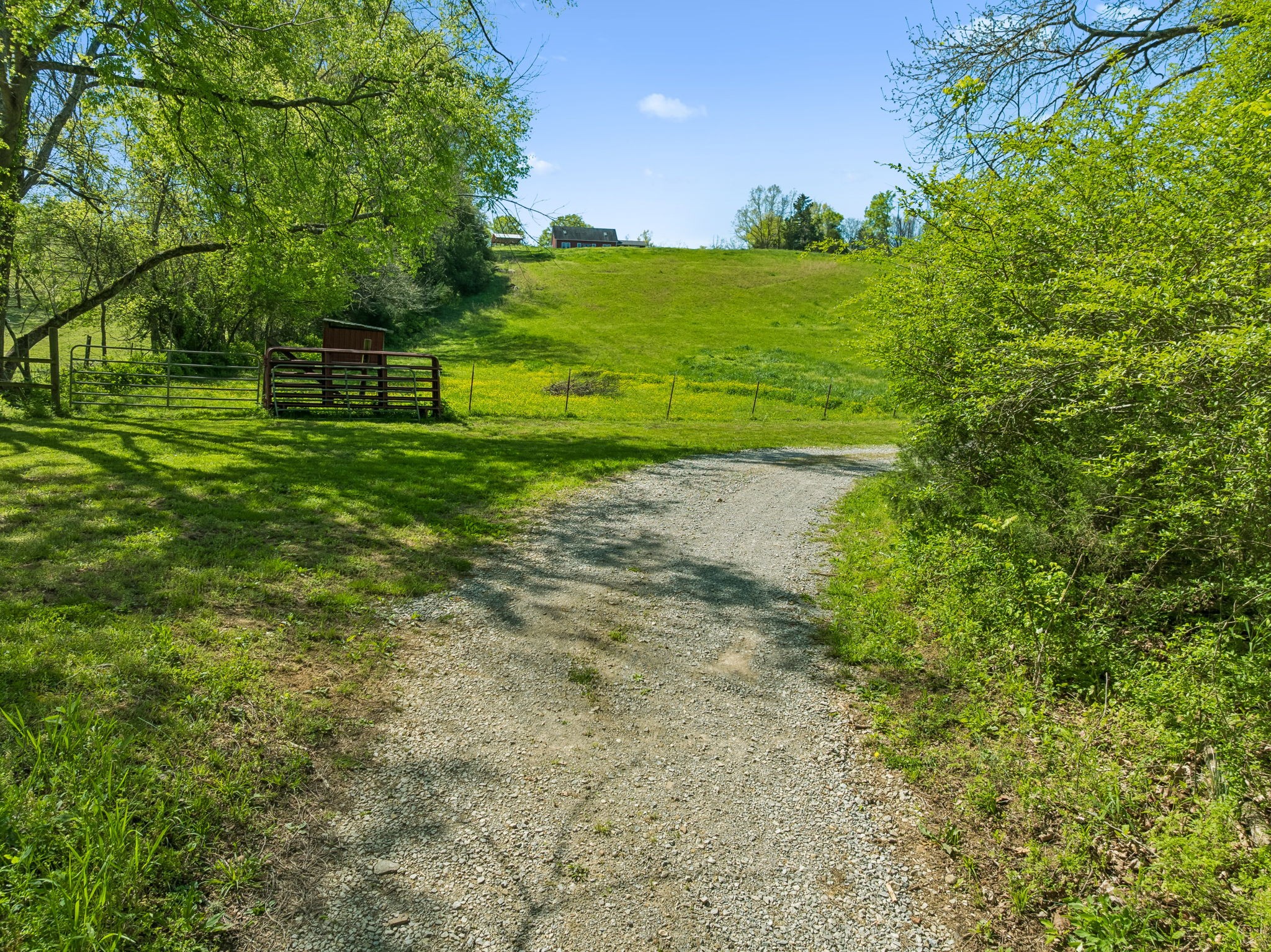 4341 Marlowe Road Williamsport, TN 38487 - Photo 7 of 78