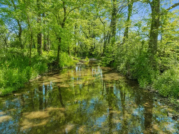 $1,050,000 | 4341 Marlowe Road, Williamsport, TN 38487