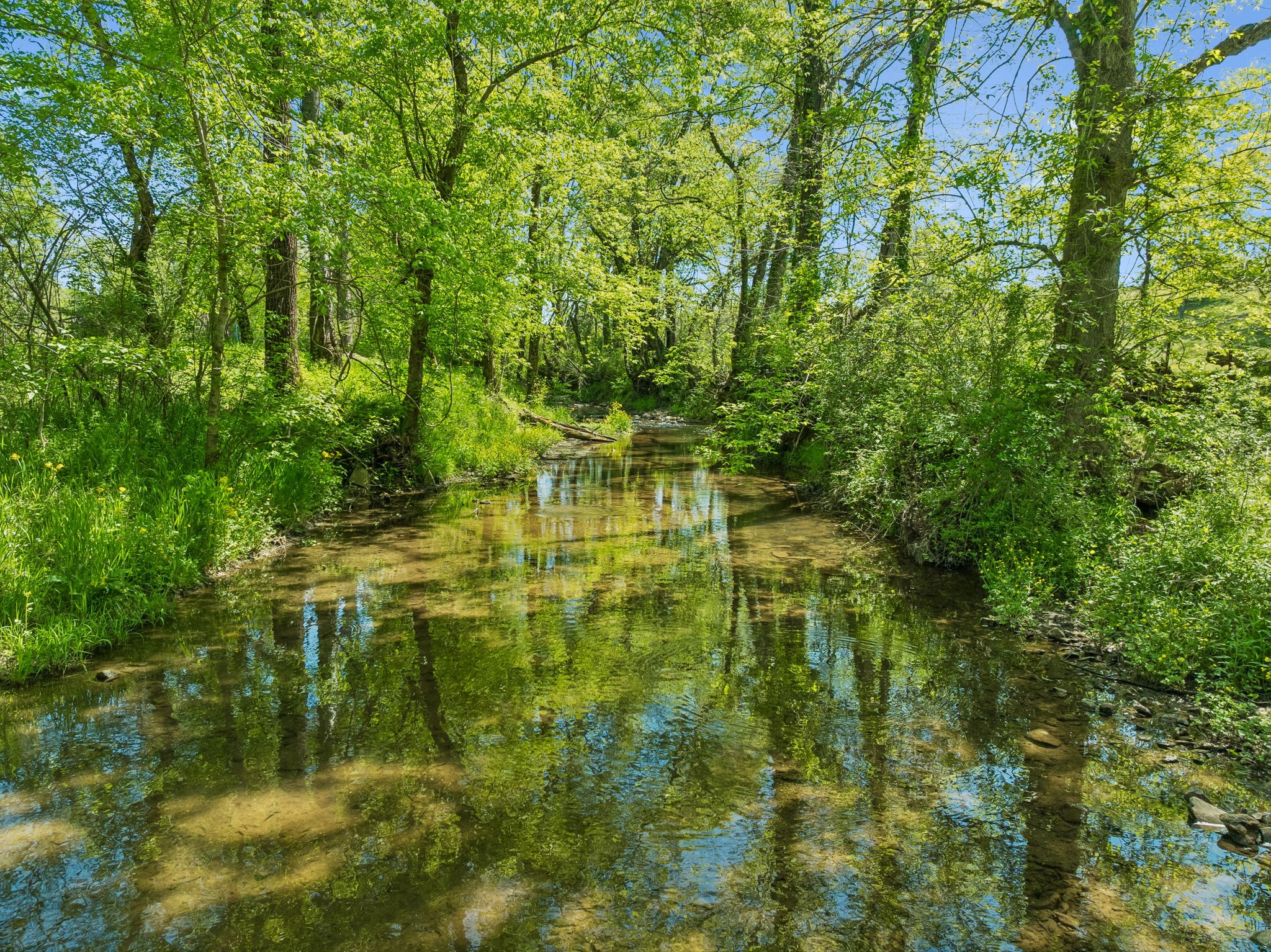 4341 Marlowe Road Williamsport, TN 38487 - Photo 72 of 78