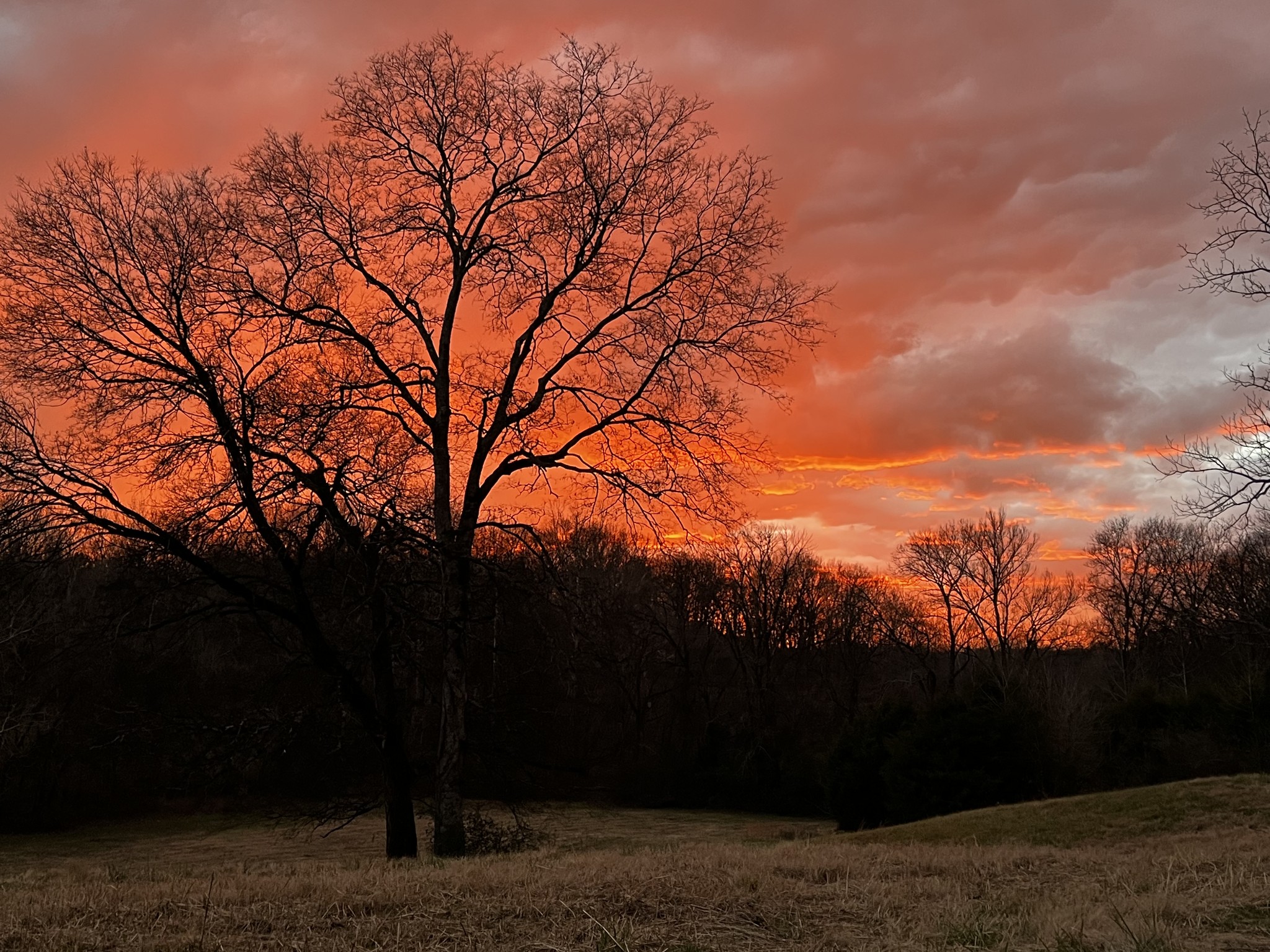 4341 Marlowe Road Williamsport, TN 38487 - Photo 73 of 78