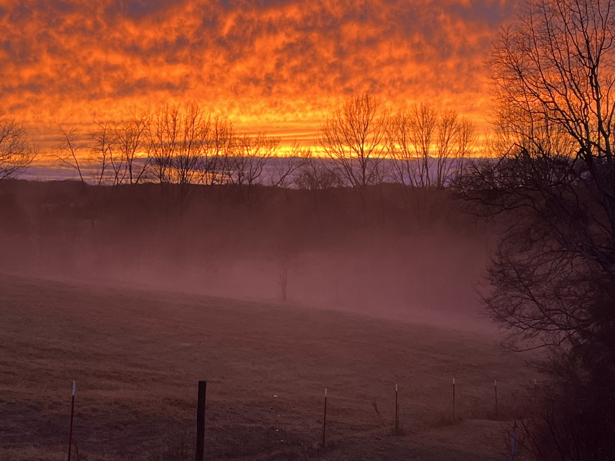 4341 Marlowe Road Williamsport, TN 38487 - Photo 74 of 78