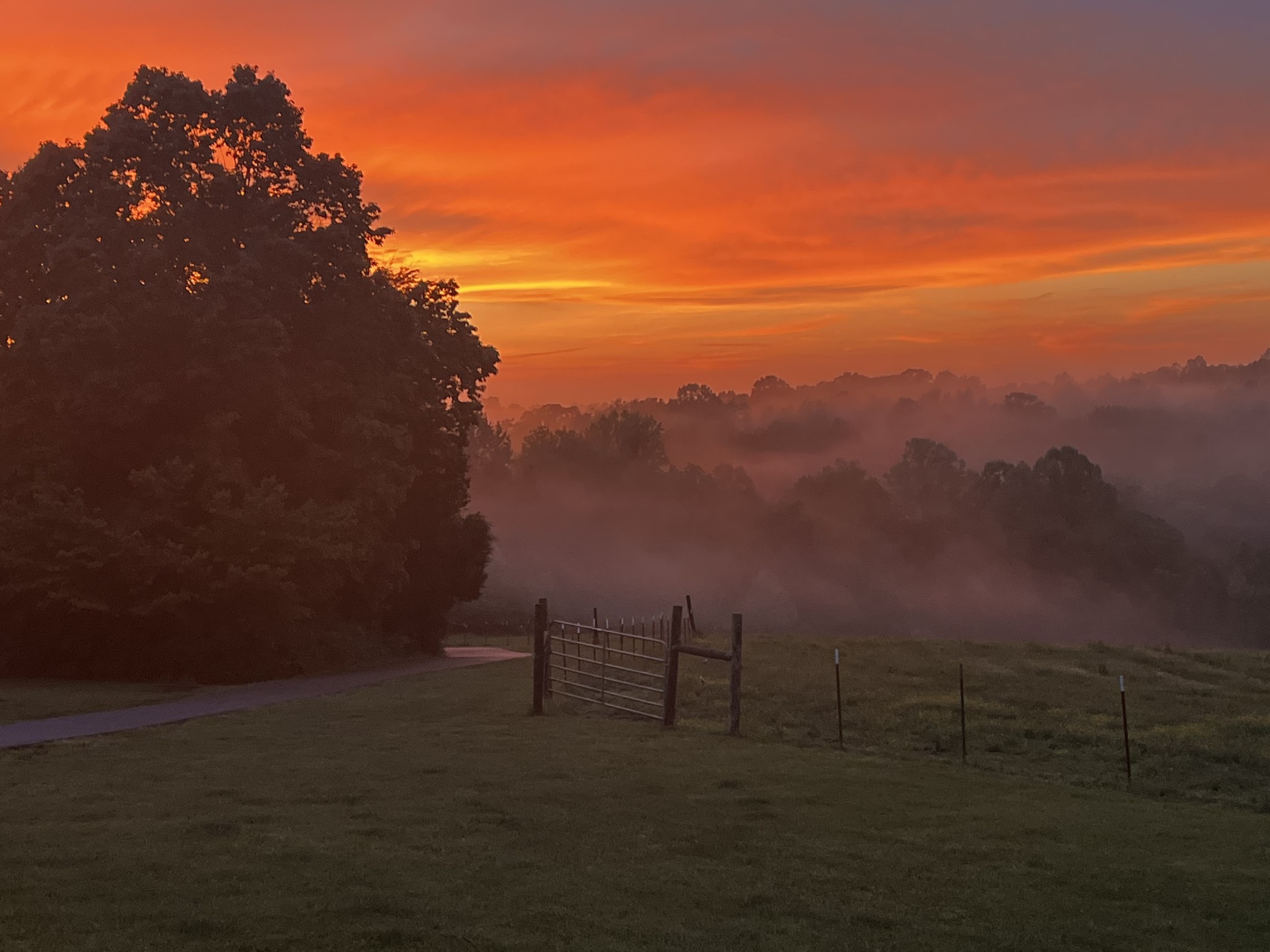 4341 Marlowe Road Williamsport, TN 38487 - Photo 75 of 78