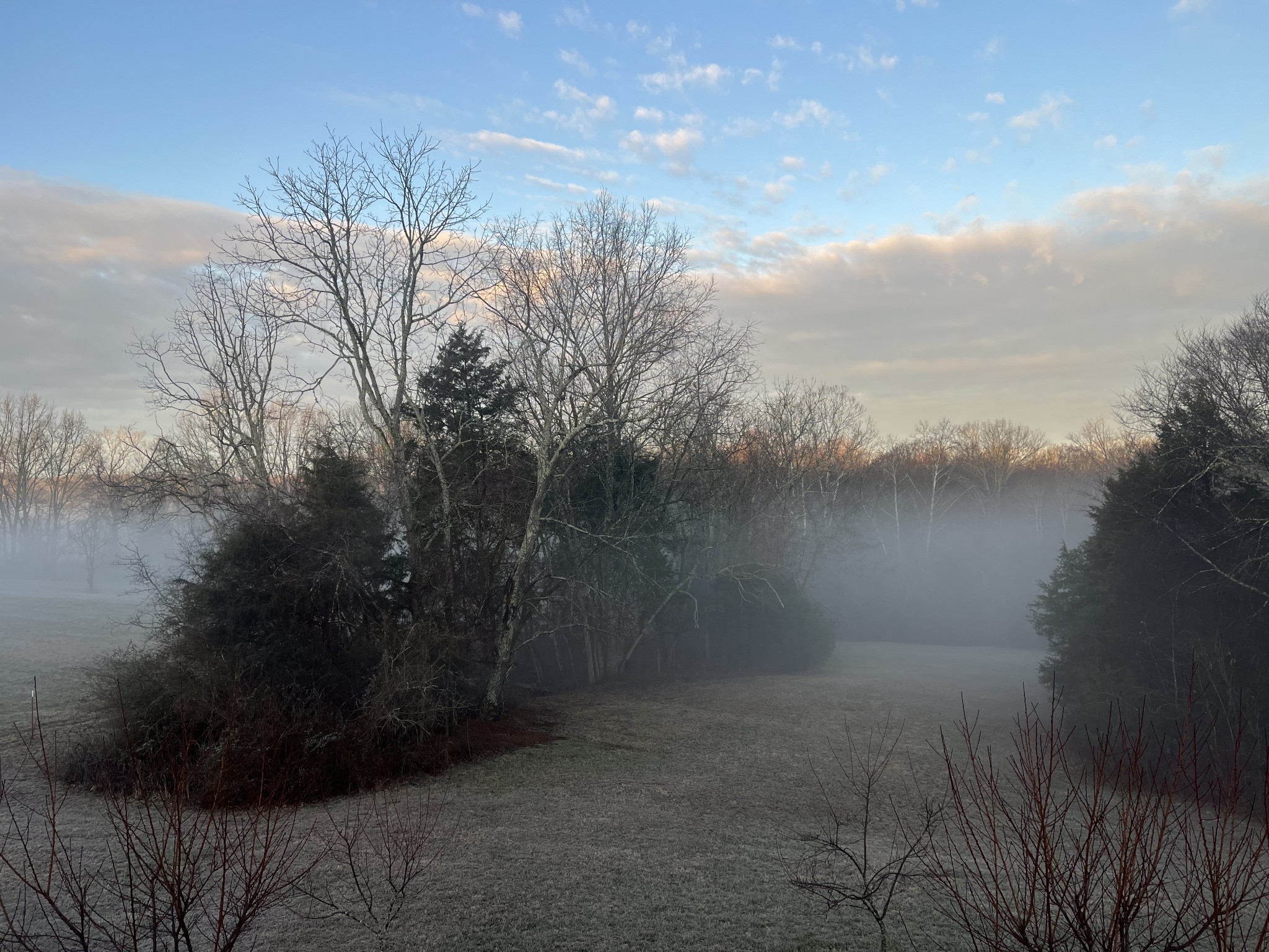 4341 Marlowe Road Williamsport, TN 38487 - Photo 76 of 78