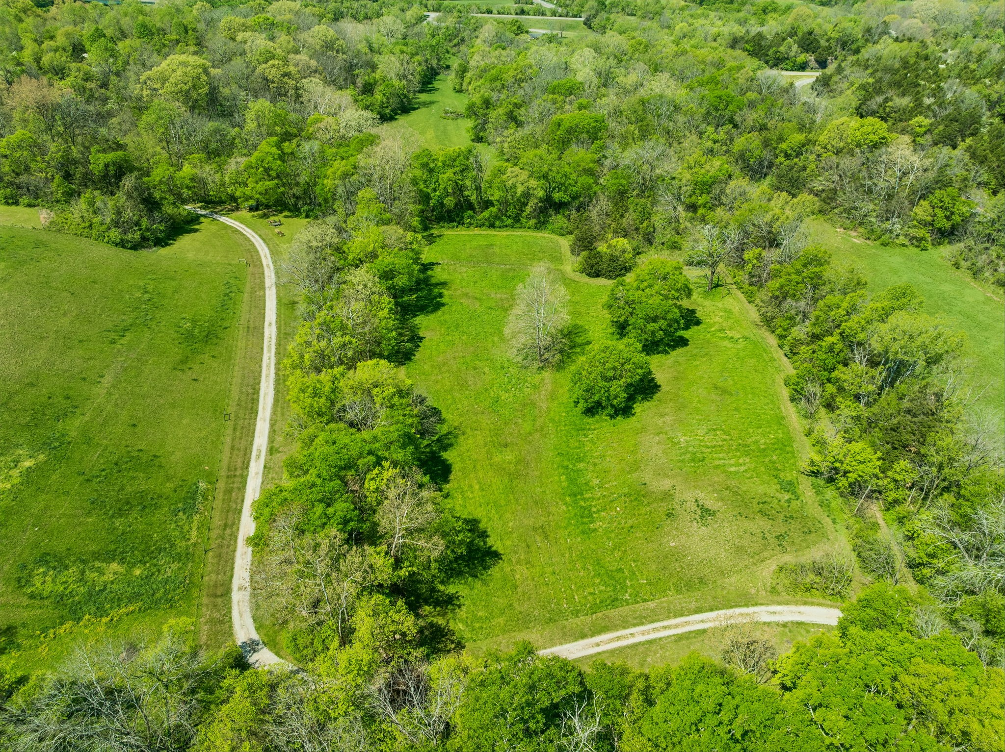 4341 Marlowe Road Williamsport, TN 38487 - Photo 9 of 78