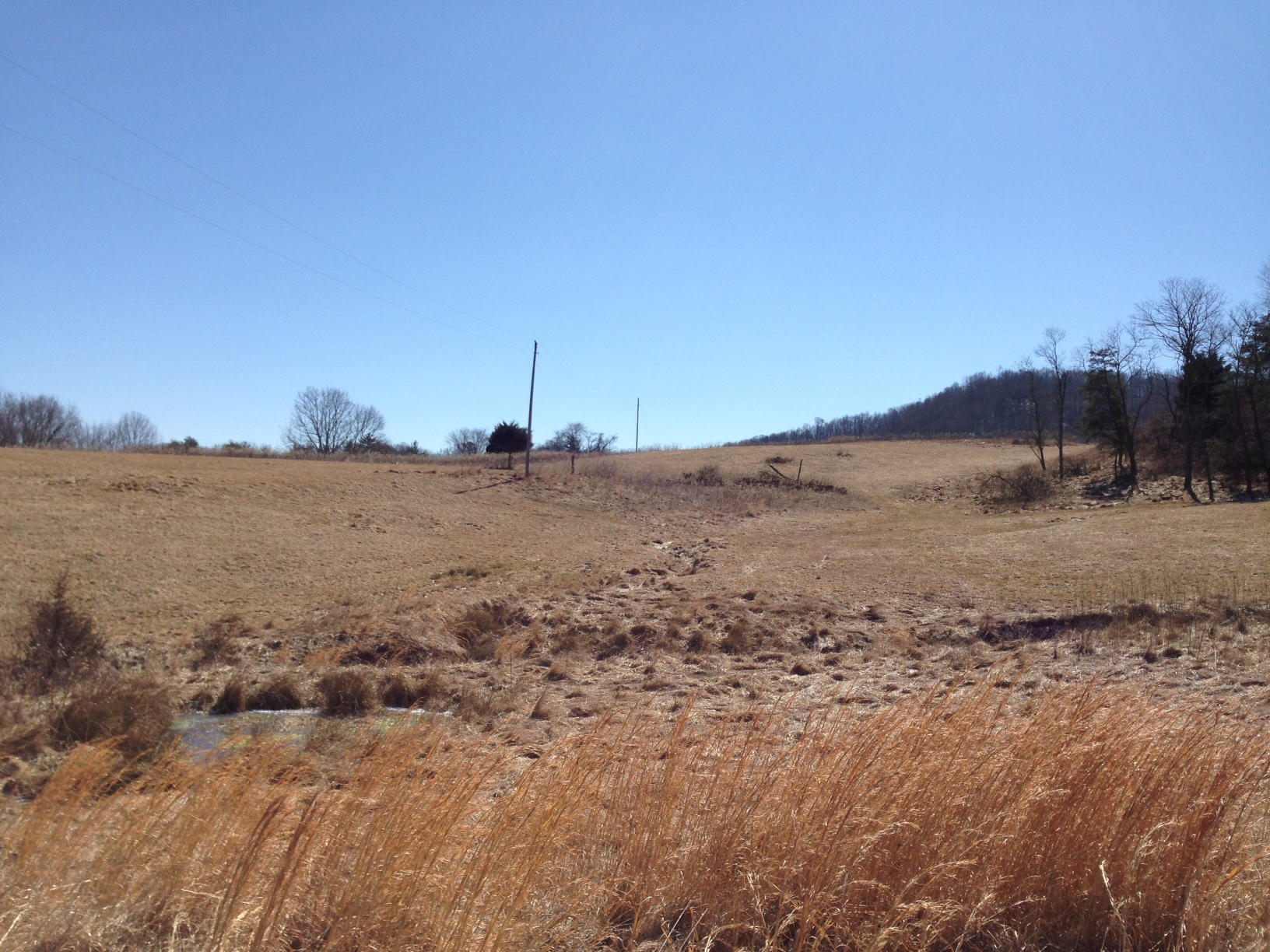 Dillon Road Forest Hill, WV 24935 - Photo 80 of 93 Gallery Image 80