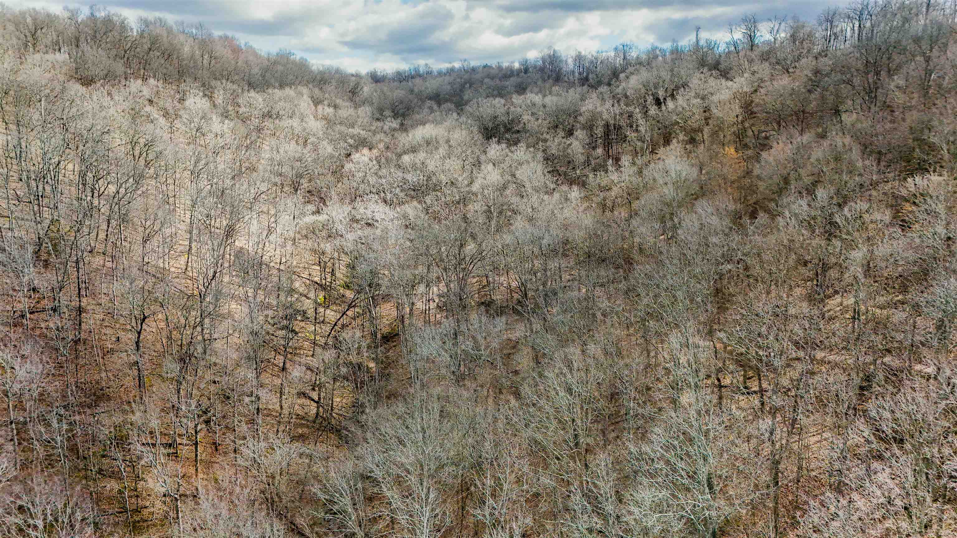 Bowen Creek Road Branchland, WV 25506 - Photo 1 of 14 Gallery Image 1
