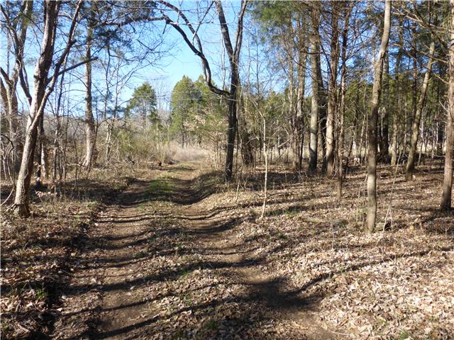 0 Johnson Road Williamsport, TN 38487 - Photo 1 of 2