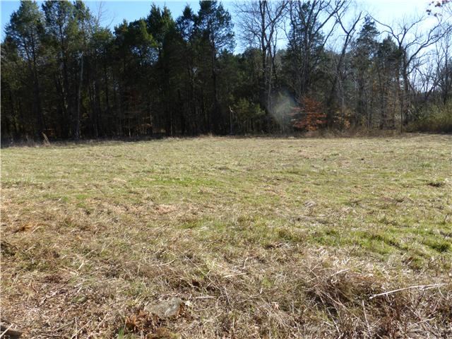 0 Johnson Road Williamsport, TN 38487 - Photo 2 of 2 Gallery Image 2