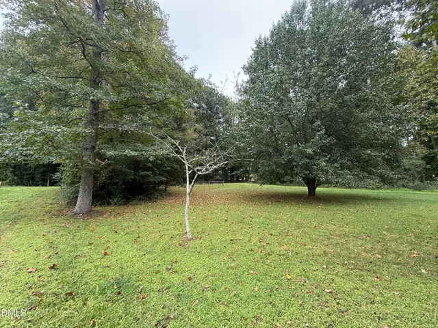 a backyard of a house with lots of green space