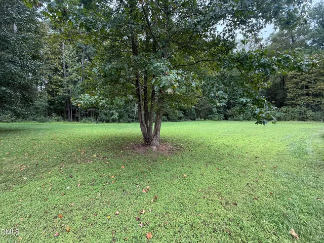 a view of a trees with a yard