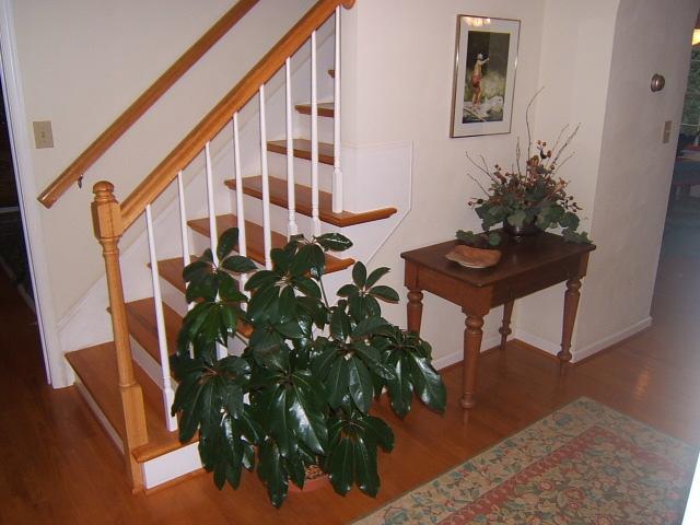 581 Winesap Road Roanoke, VA 24019 - Photo 12 of 16 foyer