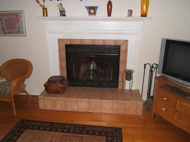 581 Winesap Road Roanoke, VA 24019 - Photo 14 of 16 fireplace