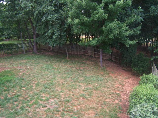 581 Winesap Road Roanoke, VA 24019 - Photo 16 of 16 yard