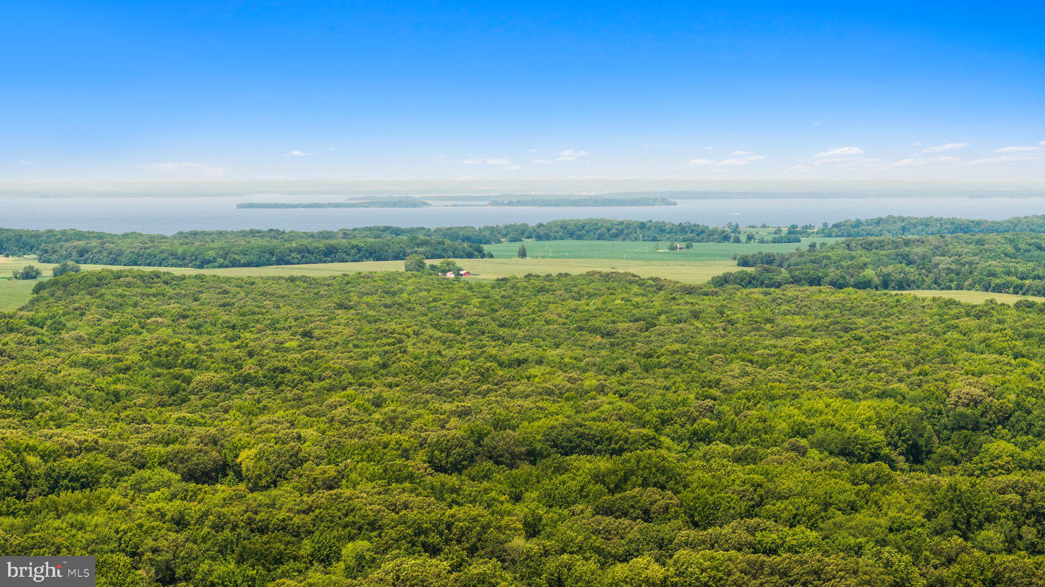 8184 Rock Hall Road Chestertown, MD 21620 - Photo 16 of 38 272 acres in timber